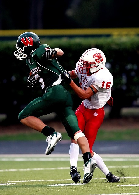 已经逐渐成 已经逐渐成