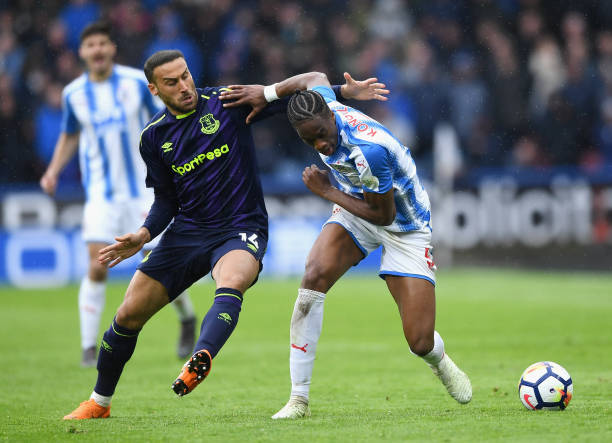 大利亚的比 大利亚的比